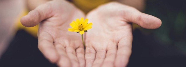 rentmeesterschap-lina-trochez-ktPKyUs3Qjs-unsplash-1080px.jpg